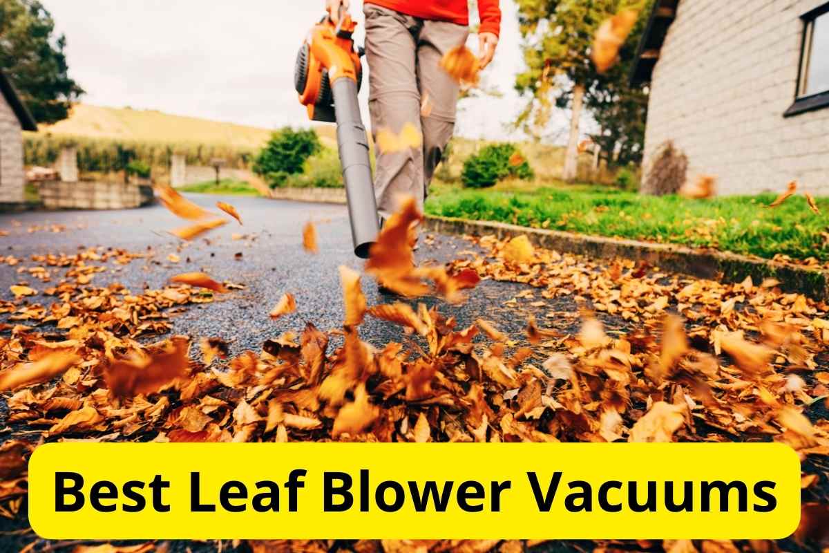 The 9 Best Leaf Blower Vacuums: Tested for Power and Efficiency